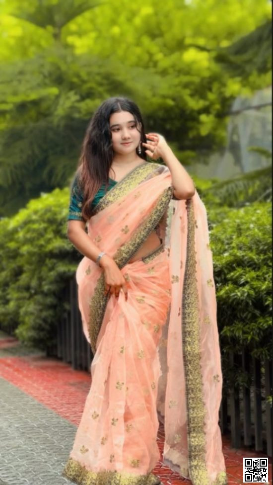 Peach Pink Embroidered Organza Saree with Velvet Blouse